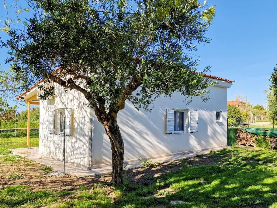 Cozy Owl'S Studio Home Pyrgos  Exterior photo
